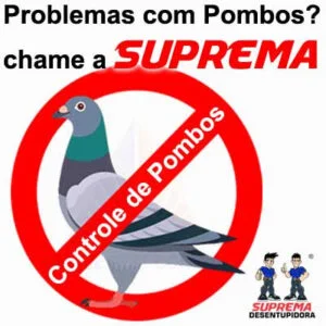 Controle de pombos