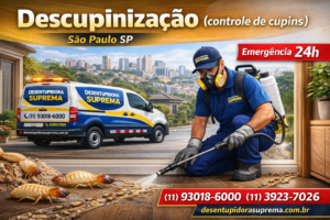 Descupinização