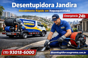 Desentupidora Jandira