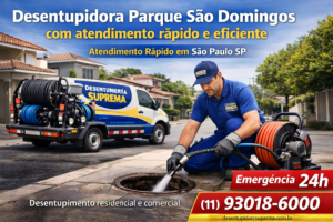 Desentupidora Parque São Domingos