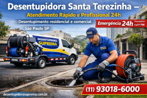 Desentupidora Santa Terezinha
