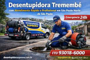 Desentupidora Tremembé